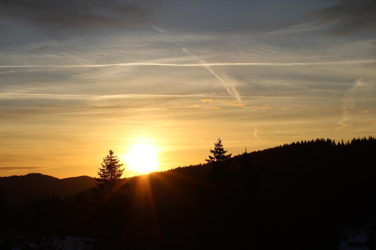 Boutique Hotel Kokoschinski Feldberg  Kültér fotó